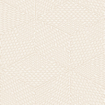 Dutch Wallcoverings Exclusive Threads TP422952 Beige
