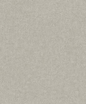 Dutch Wallcoverings Attitude A67003 Taupe