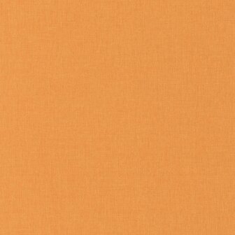 Caselio Color Box 2 (Met Gratis Lijm!) CLX68523187 - Oranje