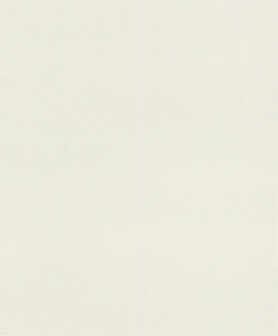 Rasch Deco Style 312324 Wit