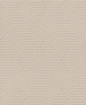 Rasch Deco Style 312522 Grijs