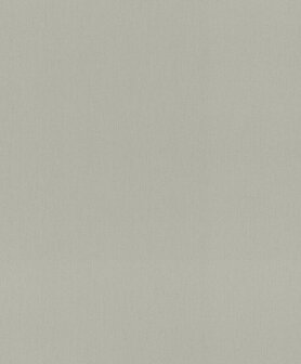 Rasch Amara 720167 Grijs