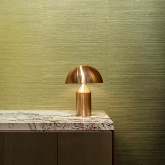 Arte Boutique Agave 90531 Groen (Incl. Gratis Lijm*)