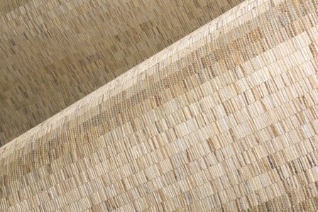 Arte ALL NATURALS FRINGE 40321A Beige / Zilver (Incl. Gratis Lijm*)