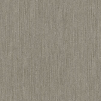Dutch First Class Midolin 17201 - Bruin Behang