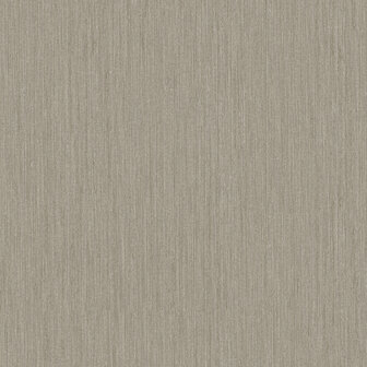 Dutch First Class Midolin 17202 - Bruin Behang