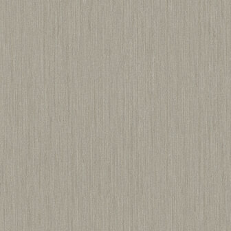 Dutch First Class Midolin 17203 - Bruin Behang