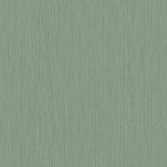 Dutch First Class Midolin 17219 - Groen Behang