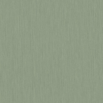 Dutch First Class Midolin 17220 - Groen Behang