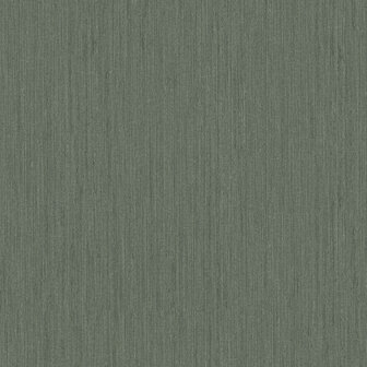 Dutch First Class Midolin 17224 - Groen Behang