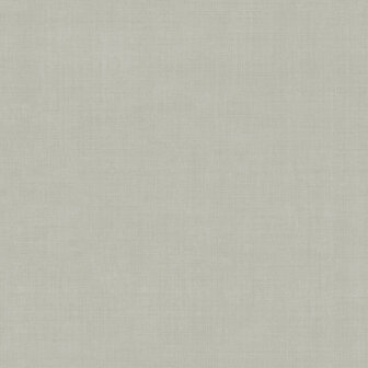 Dutch First Class Midolin 16021 - Grijs Behang