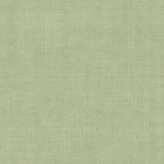 Dutch First Class Midolin 16038 - Groen Behang