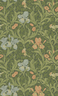 Dutch First Class Hidden Treasures 2 82050 - Groen / rood Behang