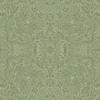Dutch First Class Hidden Treasures 2 82071 - Groen Behang