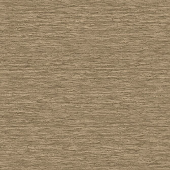 Dutch First Class Eleganza 36392 - Bruin Behang
