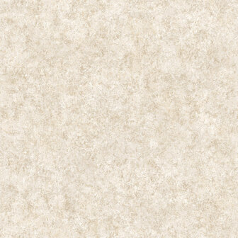 Dutch First Class Sahara 66061 - Beige Behang
