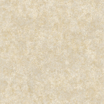 Dutch First Class Sahara 66062 - Beige Behang