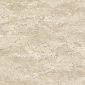 Dutch First Class Sahara 66070 - Beige Behang