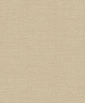 Dutch Wallcoverings Level Two LV1606 - Beige Behang