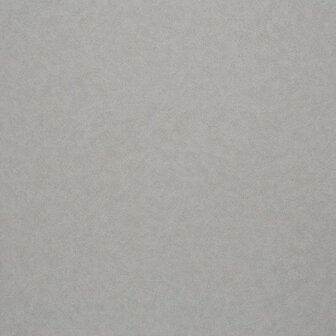 BN Wallcoverings Texture Stories / Milano Donker Grijs 49350 - Grijs Behang