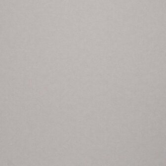 BN Wallcoverings Texture Stories Grijs 49360 - Grijs Behang