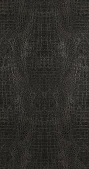 BN Wallcoverings Curious / Inspire 17950 - Zwart Behang