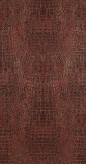 BN Wallcoverings Curious 17957 Behang