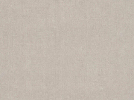 BN Wallcoverings Texture Stories / Color Stories Licht Bruin 218500 - Bruin Behang
