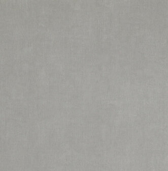 BN Wallcoverings Texture Stories / Color Stories Grijs 218501 - Grijs Behang