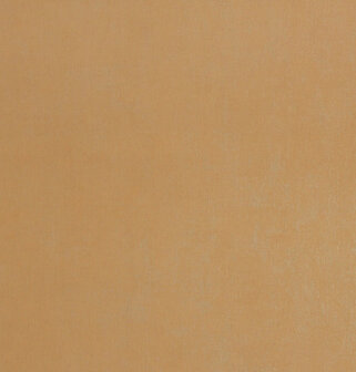 BN Wallcoverings Texture Stories Bruin 218507 - Bruin Behang