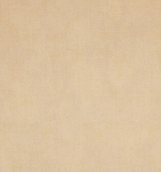 BN Indian Summer 218546 Behang