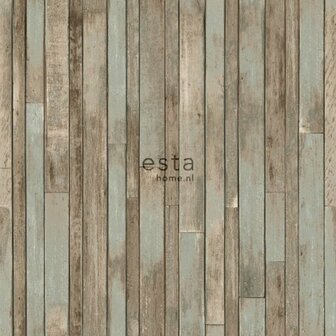 Esta College 138812 - Bruin Behang