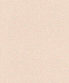 Rasch Sparkling 523638 Behang