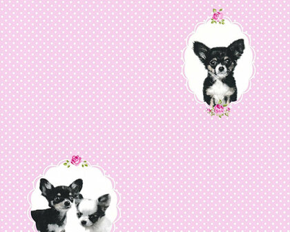 AS Creation Little Stars 35851-1 - Roze / Zwart Behang