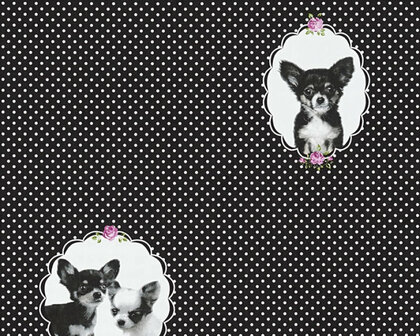 AS Creation Little Stars 35851-2 - Zwart / Paars Behang