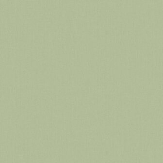 BN Wallcoverings Timeless Stories 219223 - Groen Behang