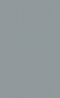 BN Wallcoverings Timeless Stories 219225 - Grijs - Groen Behang