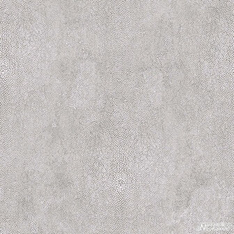 Noordwand Natural FX G67471 Behang