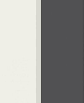Eijffinger Stripes+ 377166 Behang