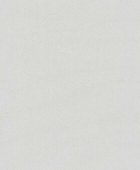 BN Wallcoverings Dimensions 219530 - Grijs Behang