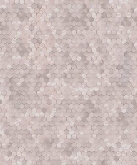 BN Wallcoverings Dimensions 219584 - Roze Behang
