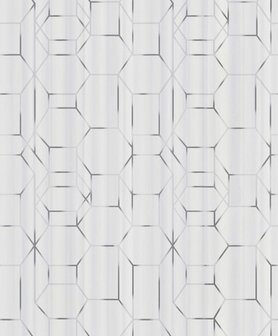 BN Wallcoverings Dimensions 219600 - Grijs - Wit Behang