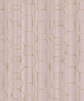 BN Wallcoverings Dimensions 219601 - Roze Behang