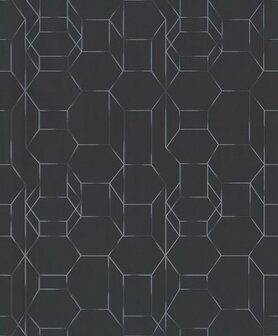 BN Wallcoverings Dimensions 219603 - Zwart Behang