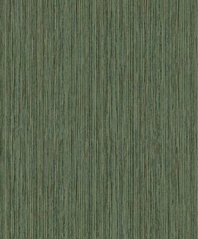 BN Wallcoverings Dimensions 219611 - Groen Behang