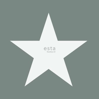 Esta Regatta Crew - Surf Edition 138950 - Groen - Blauw Behang
