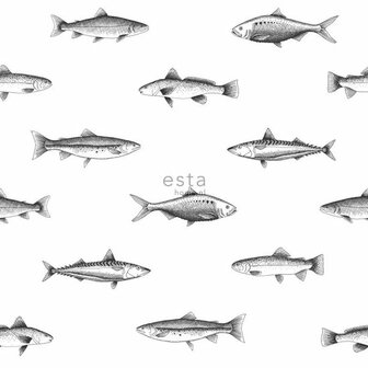 Esta Regatta Crew - Surf Edition 138967 - Zwart Wit Behang
