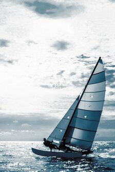 Esta Regatta Crew - Surf Edition 158846 - Blauw Behang