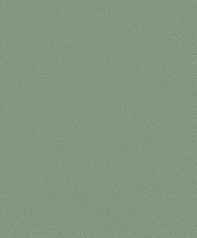 Casadeco Belle Epoque BEEP82287311 - Groen Behang