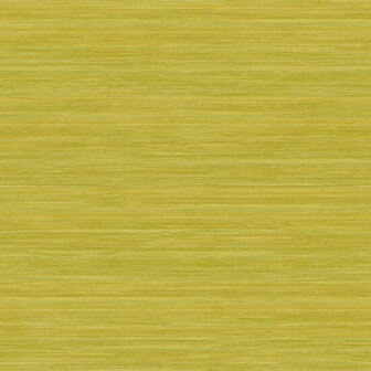 Casadeco So Color 4 SCOL81357315 - Groen Behang